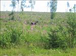 Sweden 2006-04 114